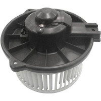 DCG1100